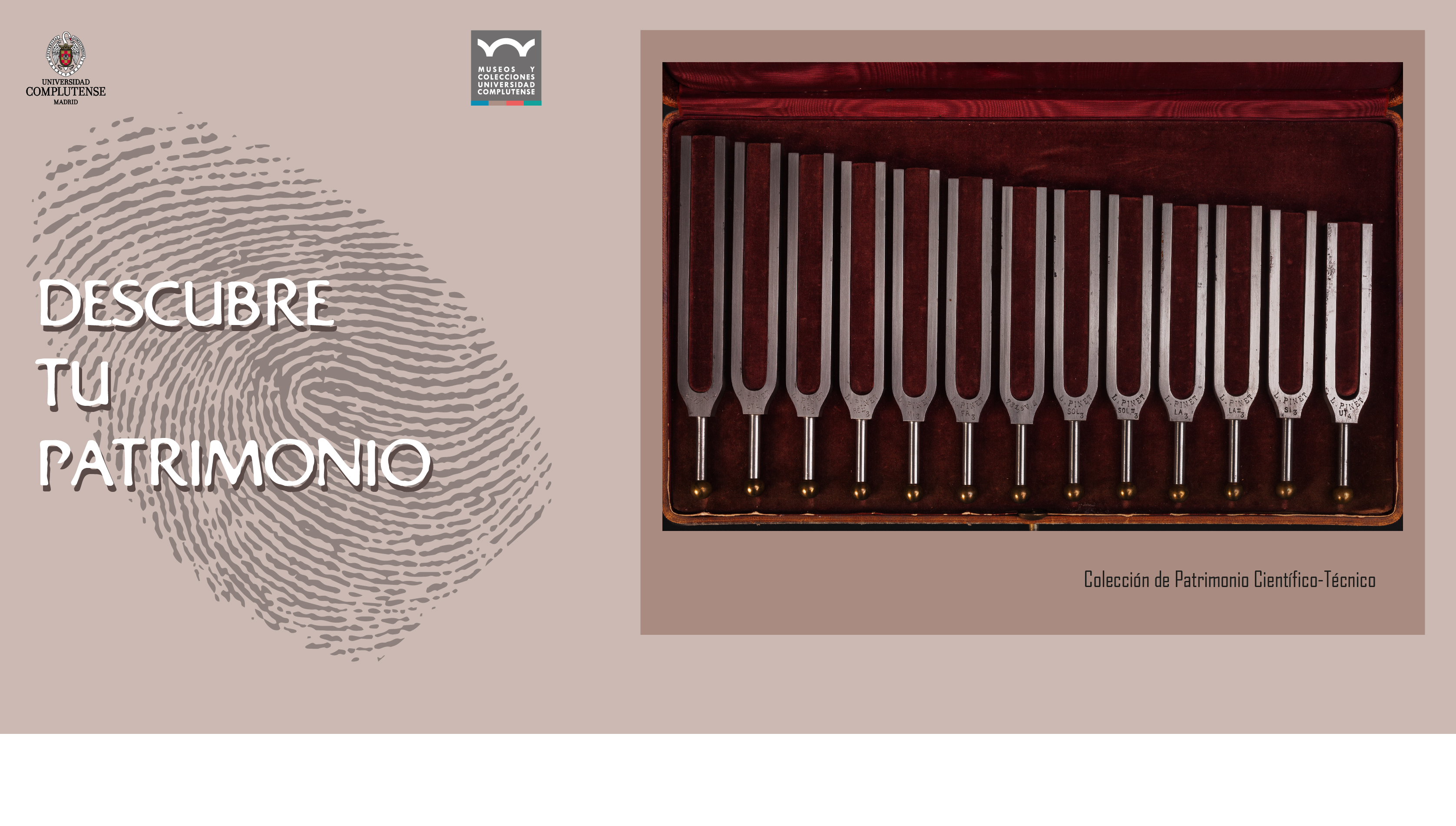 Descubre tu Patrimonio